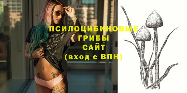 mix Вяземский