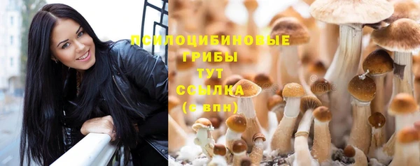 амф Медногорск