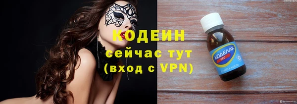индика Михайловск