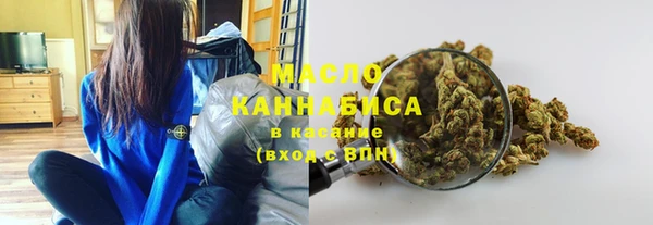 индика Михайловск