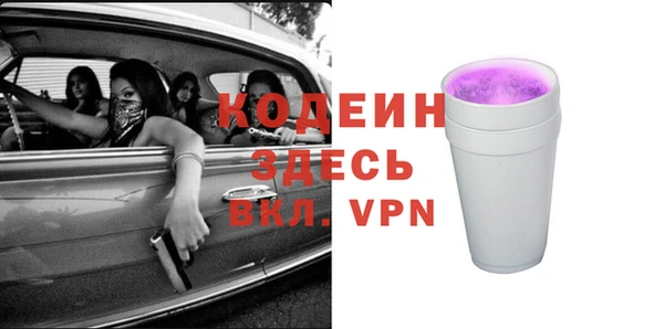 индика Михайловск