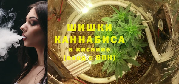 метадон Галич