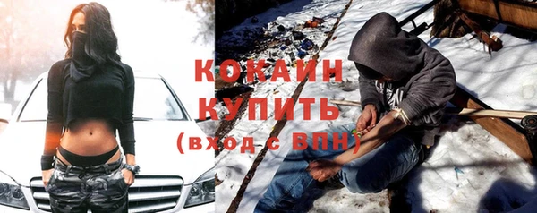 индика Михайловск