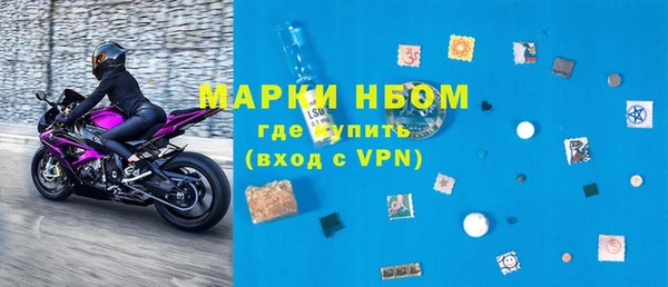 индика Михайловск