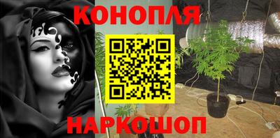 мяу мяу мука Гусиноозёрск