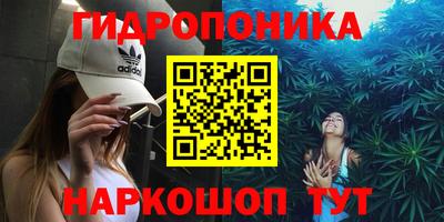 мяу мяу мука Гусиноозёрск