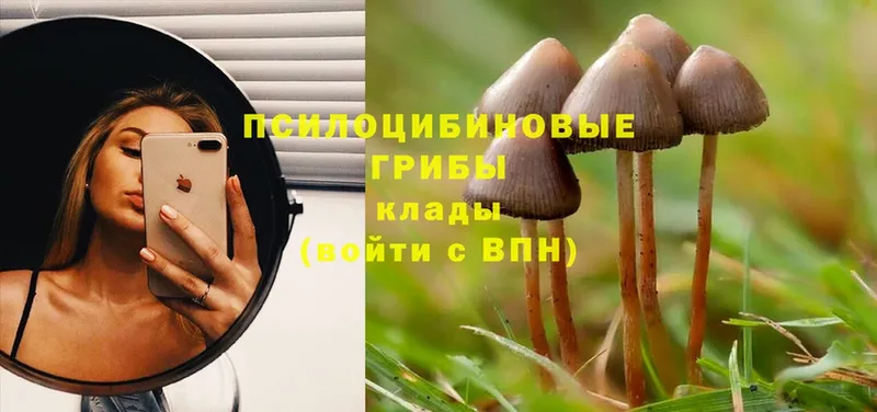 наркотики  Зеленокумск  Галлюциногенные грибы MAGIC MUSHROOMS 