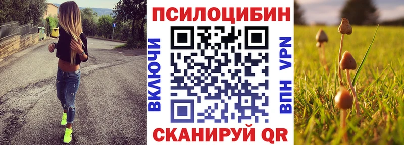 Псилоцибиновые грибы Magic Shrooms как найти закладки Зеленокумск