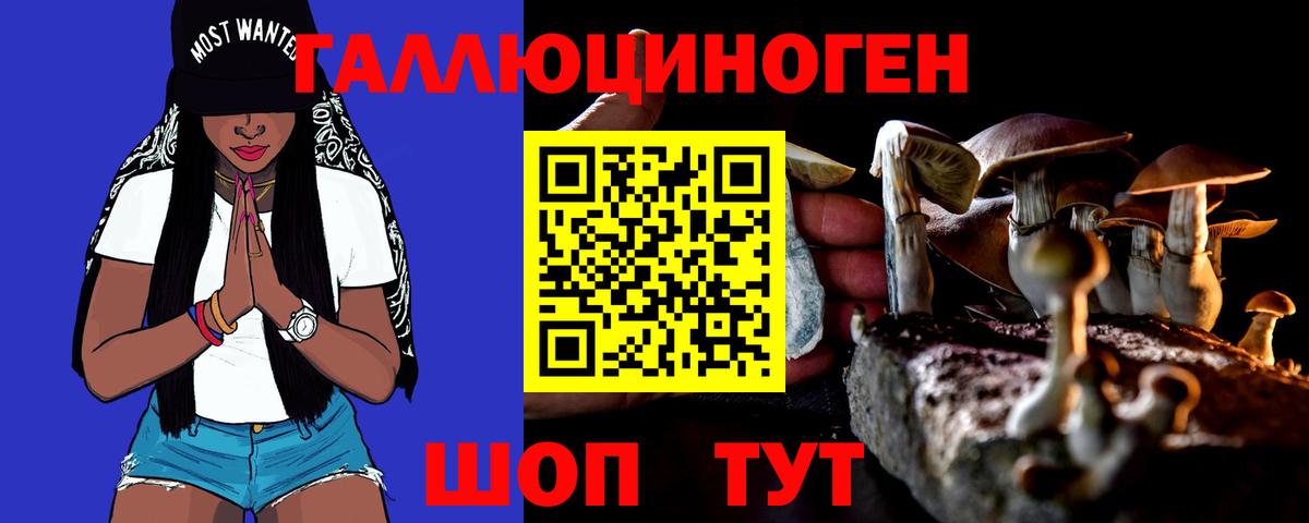 Псилоцибиновые грибы мухоморы Зеленокумск